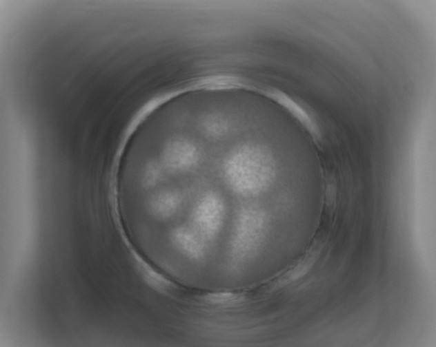 X0000110991478200906261439