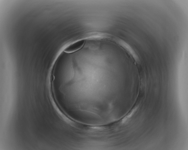 X0000110991483200906261439