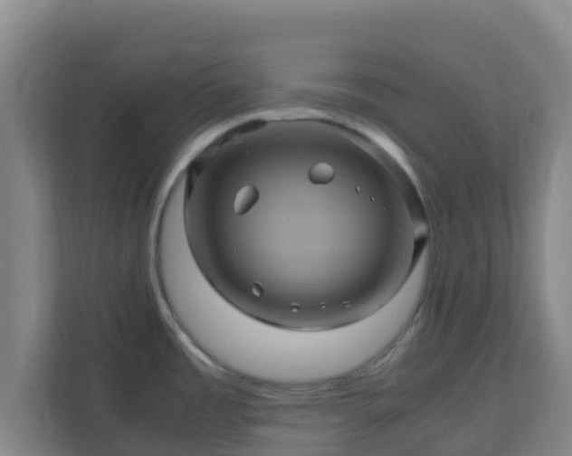X0000110991485200906261439