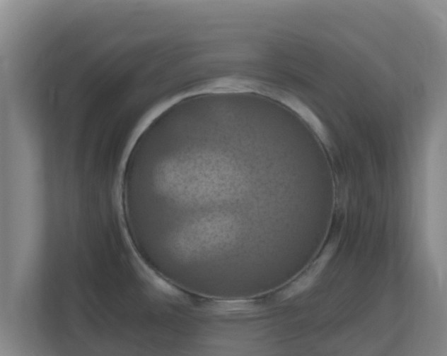 X0000110991486200906261439