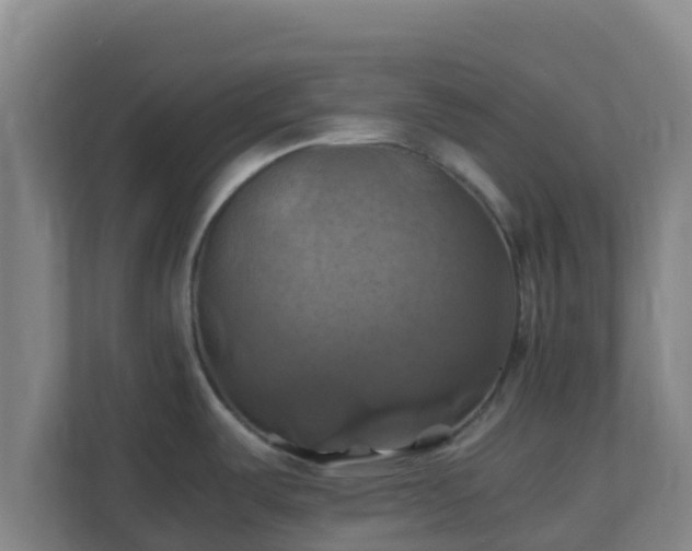 X0000110991487200906261439
