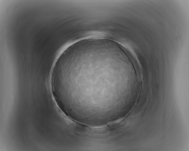 X0000110991488200906261439