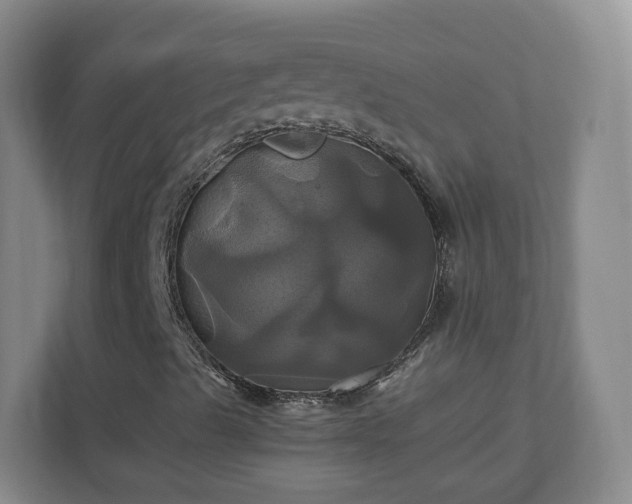 X0000110991489200906261439