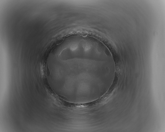 X0000110991490200906261439