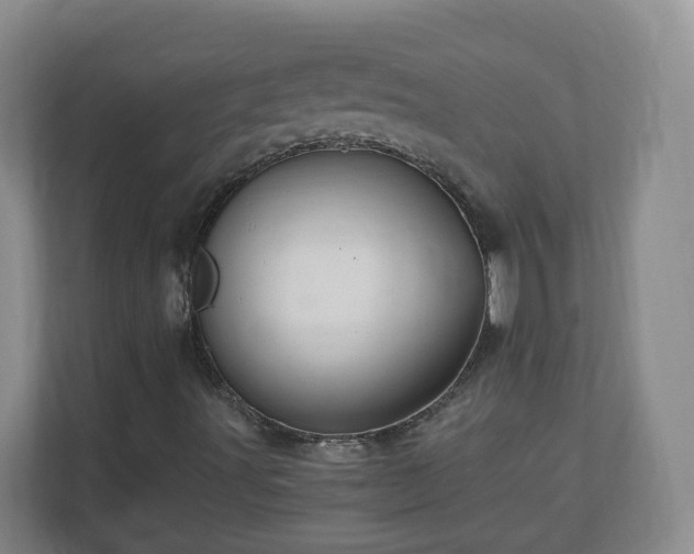 X0000110991491200906261439