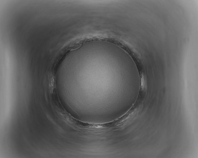 X0000110991492200906261439