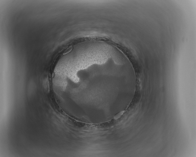 X0000110991493200906261439