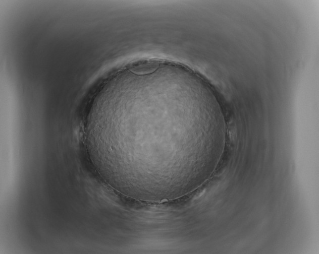X0000110991495200906261439