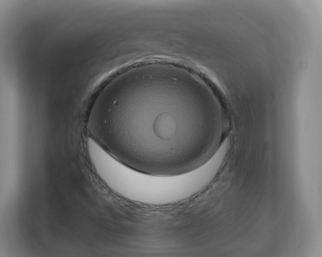 X0000110991496200906261439