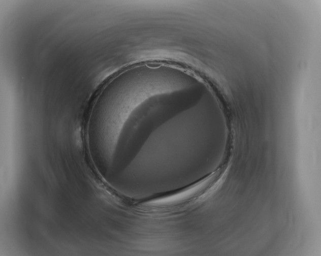 X0000110991497200906261439