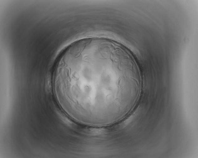 X0000110991498200906261439