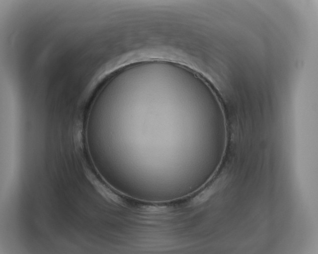 X0000110991499200906261439