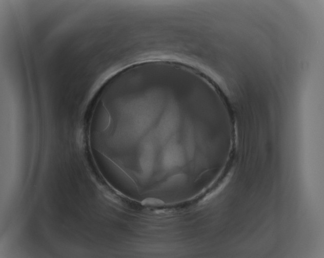 X0000110991501200906261439