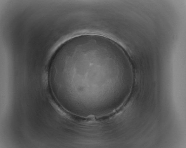 X0000110991503200906261439