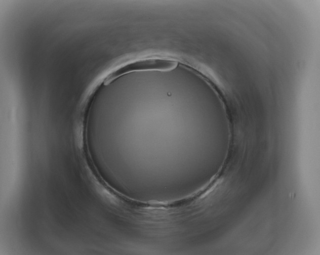 X0000110991504200906261439