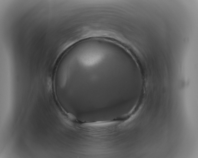 X0000110991505200906261439