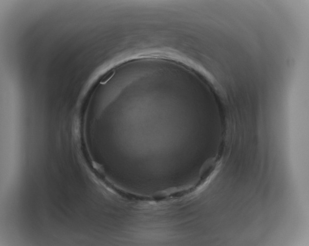 X0000110991506200906261439