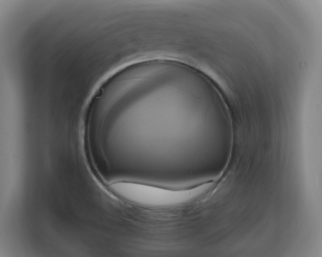 X0000110991508200906261439