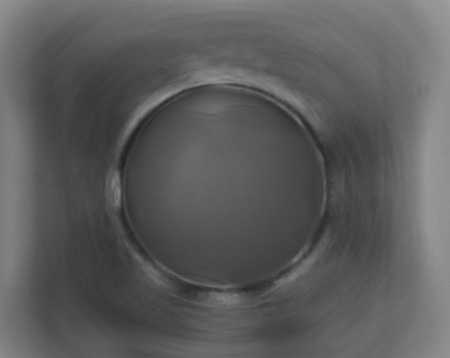 X0000110991509200906261439