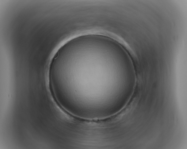 X0000110991512200906261439