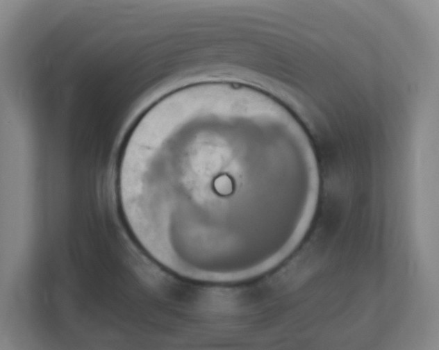 X0000110991514200906261439