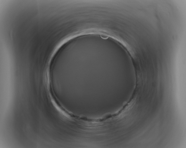 X0000110991515200906261439