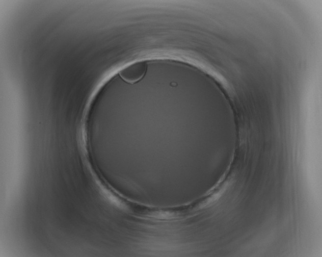 X0000110991517200906261439