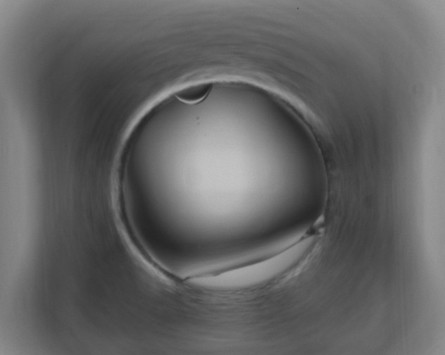 X0000110991518200906261439