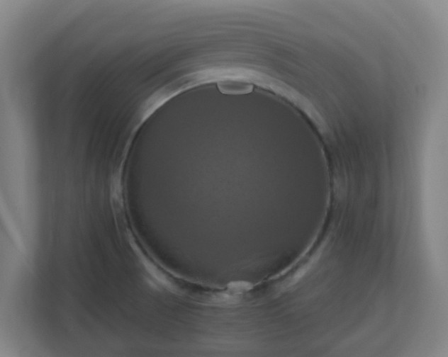 X0000110991521200906261439