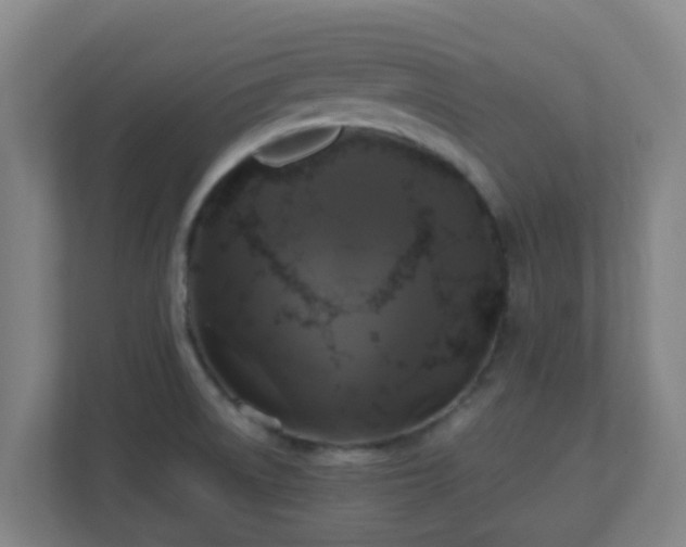 X0000110991522200906261439