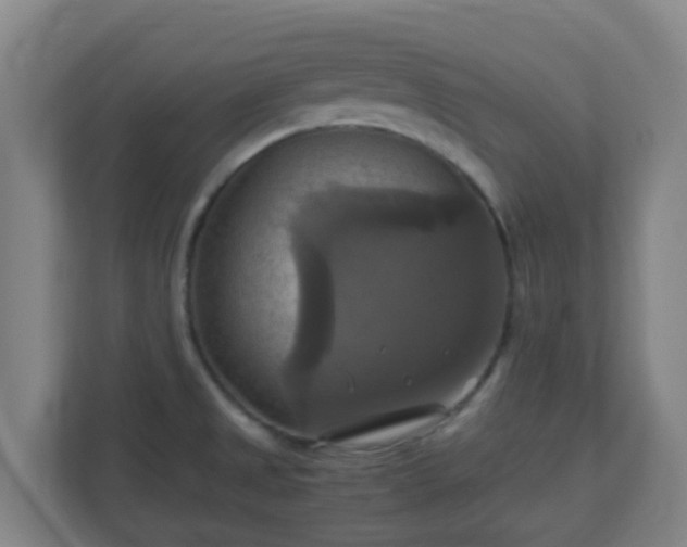 X0000110991525200906261439