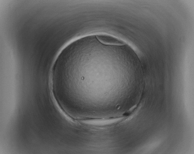 X0000110991526200906261439