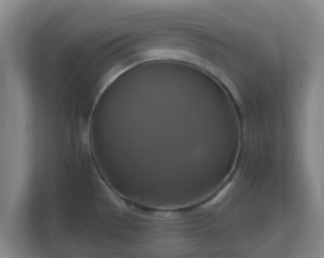 X0000110991529200906261439