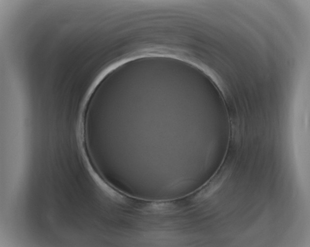 X0000110991531200906261439