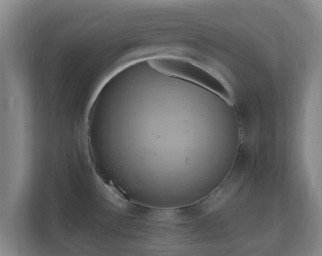X0000110991532200906261439