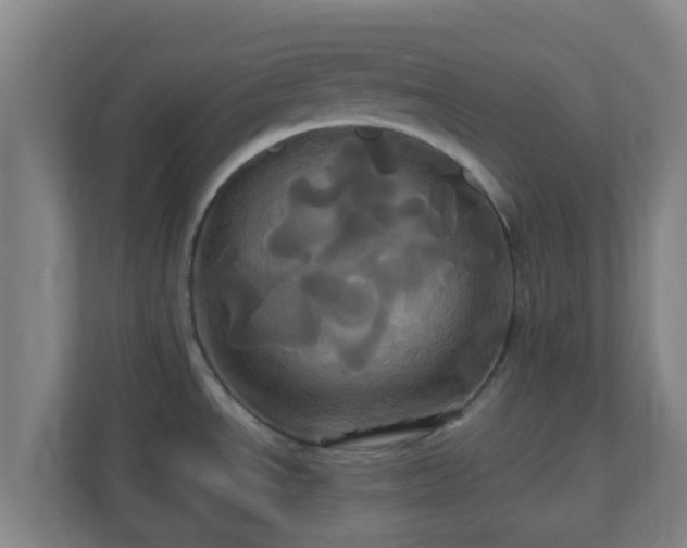 X0000110991534200906261439
