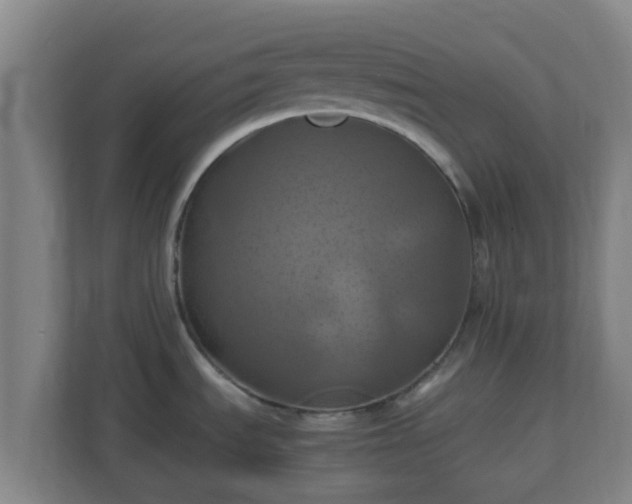 X0000110991535200906261439