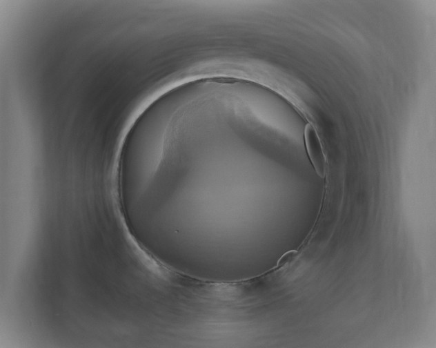 X0000110991536200906261439