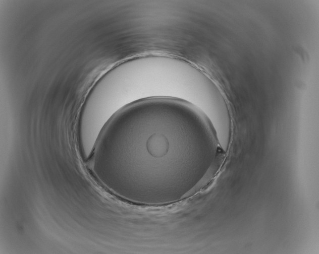 X0000110990001200907022126