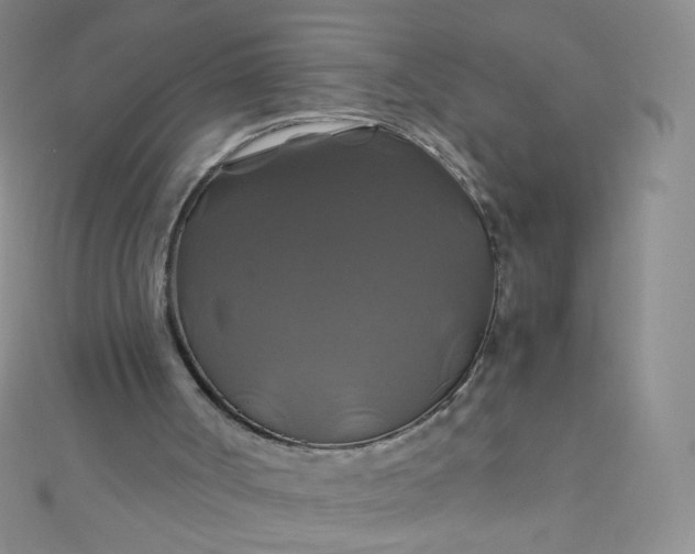 X0000110990002200907022126