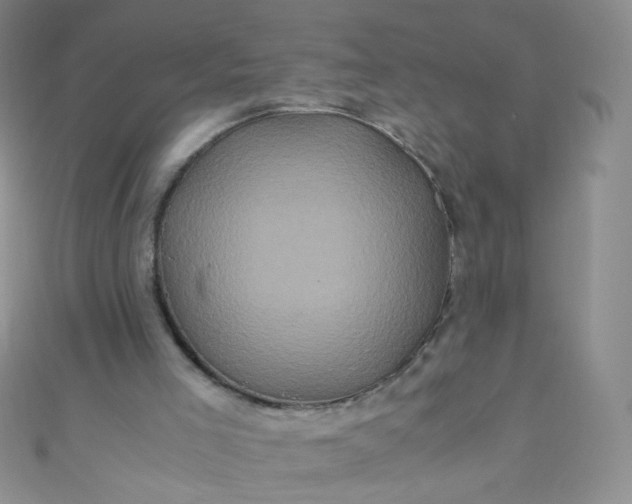 X0000110990005200907022125