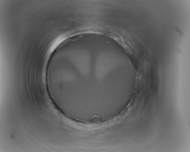 X0000110990006200907022125