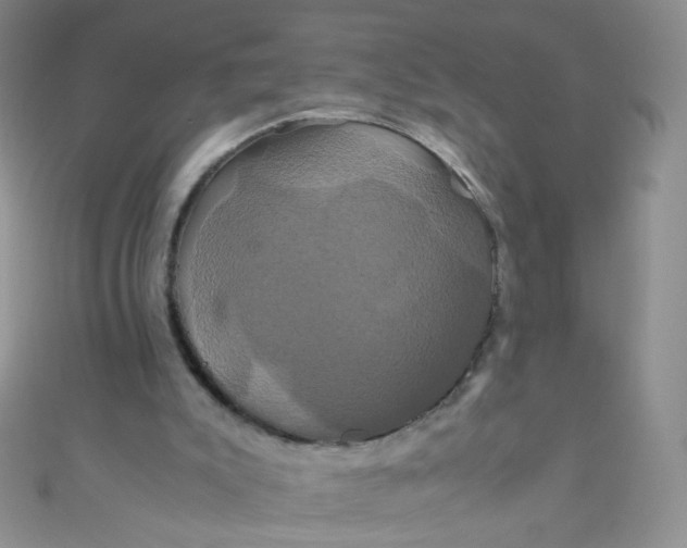 X0000110990007200907022125
