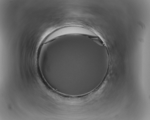 X0000110990008200907022125