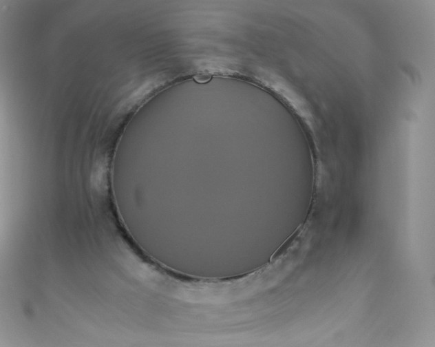 X0000110990009200907022125