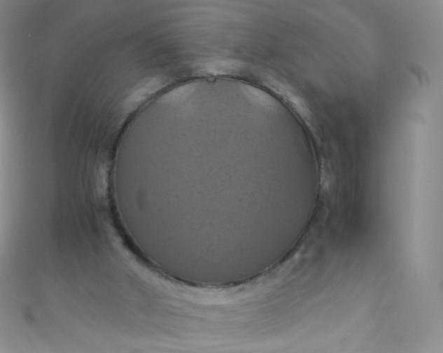 X0000110990010200907022125
