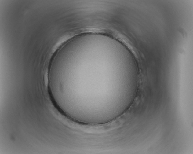 X0000110990011200907022125