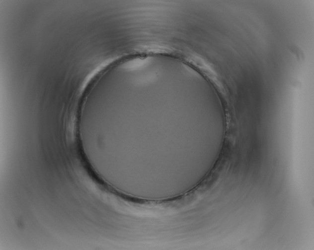 X0000110990012200907022125