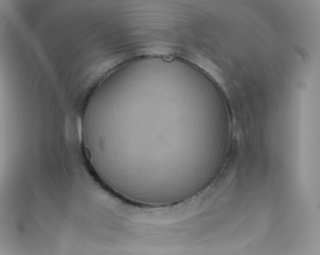 X0000110990013200907022125