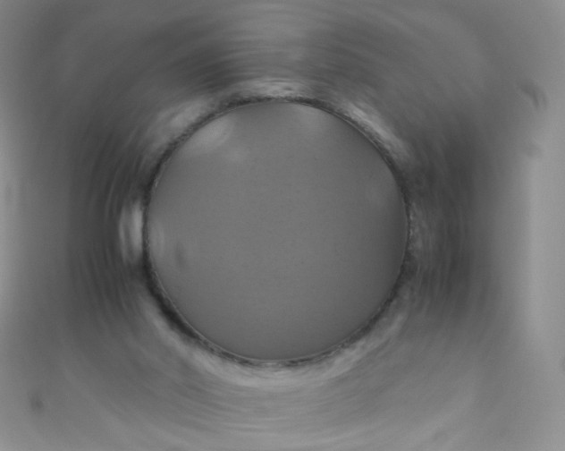 X0000110990014200907022125